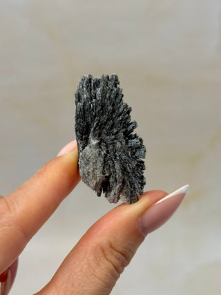 BLACK KYANITE (4) Raw Crystal The Crystal Avenues 