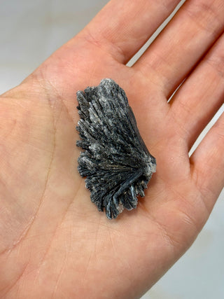 BLACK KYANITE (4) Raw Crystal The Crystal Avenues 