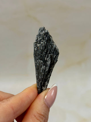 BLACK KYANITE (5) Raw Crystal The Crystal Avenues 