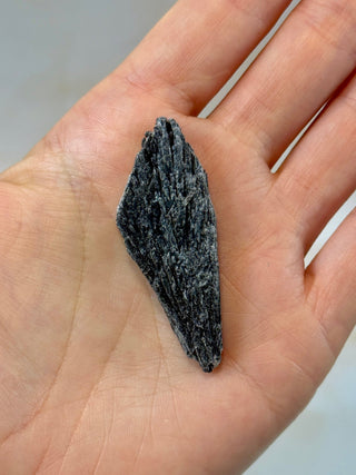 BLACK KYANITE (5) Raw Crystal The Crystal Avenues 
