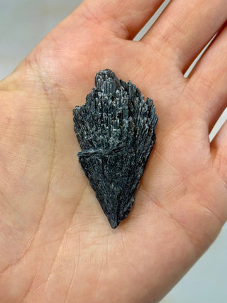 BLACK KYANITE (6) Raw Crystal The Crystal Avenues 