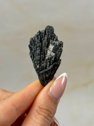 BLACK KYANITE (6) Raw Crystal The Crystal Avenues 