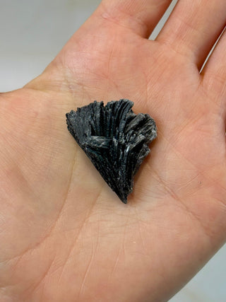 BLACK KYANITE (7) Raw Crystal The Crystal Avenues 