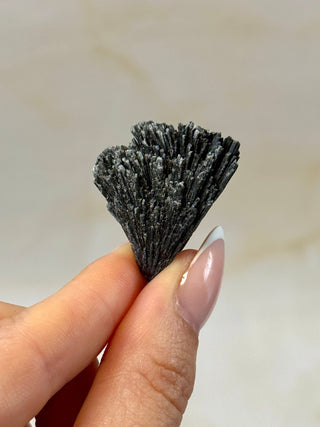 BLACK KYANITE (7) Raw Crystal The Crystal Avenues 
