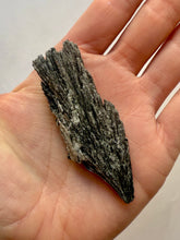 Load image into Gallery viewer, BLACK KYANITE (7) Raw Crystal The Crystal Avenues 
