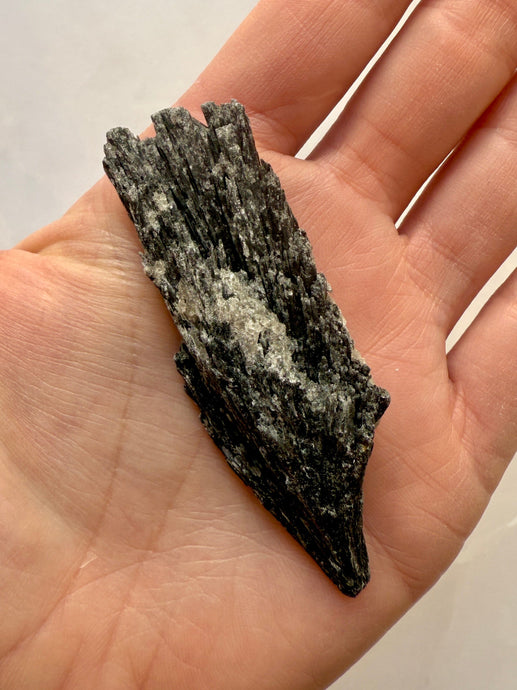 BLACK KYANITE (7) Raw Crystal The Crystal Avenues 