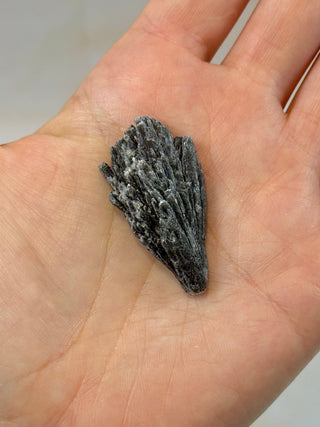 BLACK KYANITE (8) Raw Crystal The Crystal Avenues 