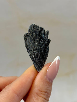 BLACK KYANITE (8) Raw Crystal The Crystal Avenues 