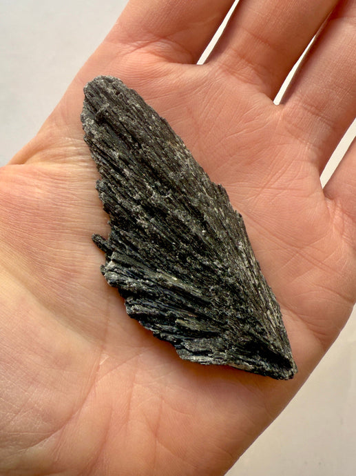 BLACK KYANITE (8) Raw Crystal The Crystal Avenues 