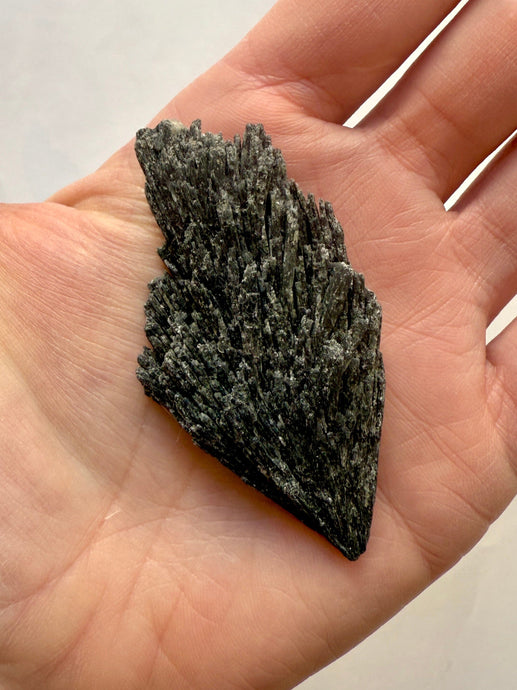 BLACK KYANITE (9) Raw Crystal The Crystal Avenues 