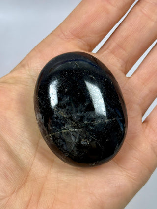 BLACK TOURMALINE PALM STONE (2) tumble stone The Crystal Avenues 