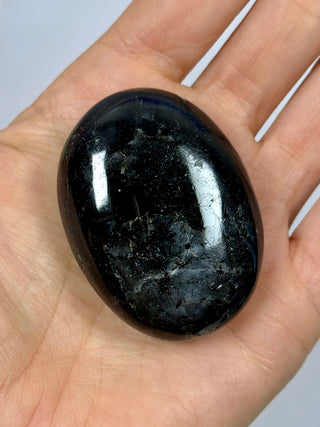 BLACK TOURMALINE PALM STONE (3) tumble stone The Crystal Avenues 