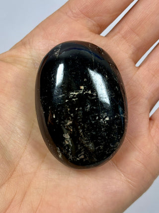 BLACK TOURMALINE PALM STONE (5) tumble stone The Crystal Avenues 