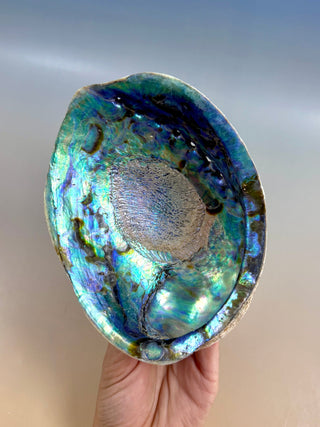 BLUE ABALONE (1) Smudge bowl The Crystal Avenues 