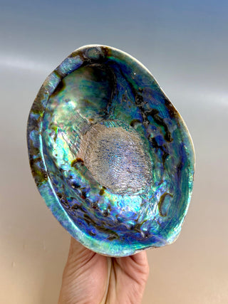 BLUE ABALONE (1) Smudge bowl The Crystal Avenues 
