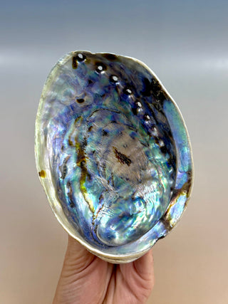 BLUE ABALONE (2) Smudge bowl The Crystal Avenues 