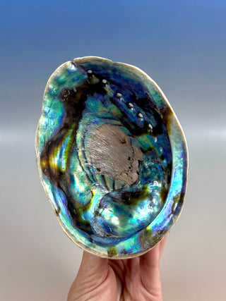 BLUE ABALONE (3) Smudge bowl The Crystal Avenues 
