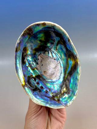 BLUE ABALONE (3) Smudge bowl The Crystal Avenues 