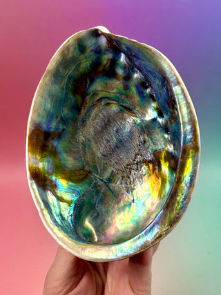 BLUE ABALONE SHELL (1) Smudge bowl The Crystal Avenues 