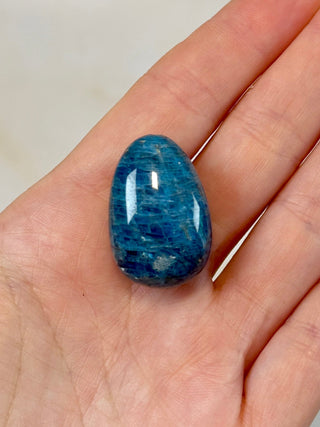 BLUE APATITE (1) tumble stone The Crystal Avenues 