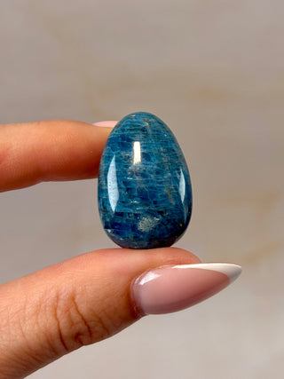 BLUE APATITE (1) tumble stone The Crystal Avenues 