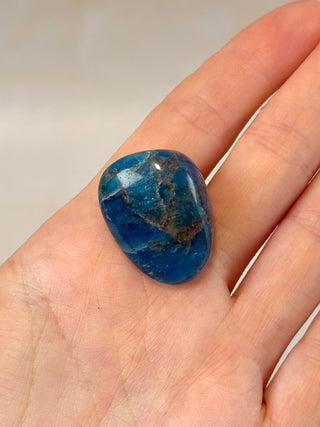 BLUE APATITE (2) tumble stone The Crystal Avenues 