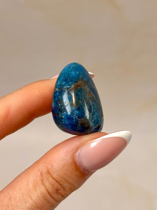 BLUE APATITE (2) tumble stone The Crystal Avenues 