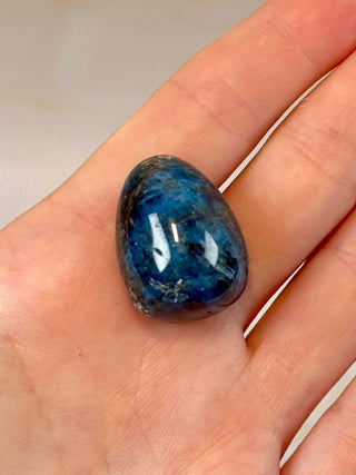 BLUE APATITE (3) tumble stone The Crystal Avenues 