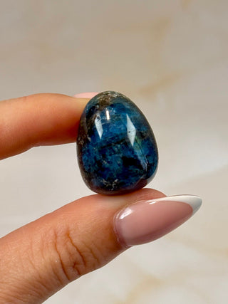 BLUE APATITE (3) tumble stone The Crystal Avenues 