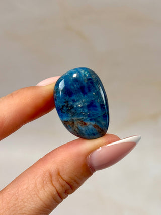 BLUE APATITE (4) tumble stone The Crystal Avenues 