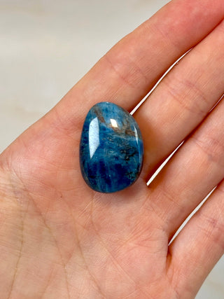 BLUE APATITE (4) tumble stone The Crystal Avenues 