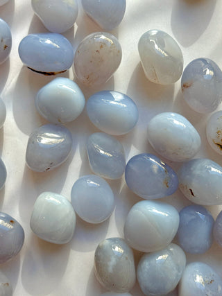 BLUE CHALCEDONY TUMBLE STONE Tumble Stone The Crystal Avenues 