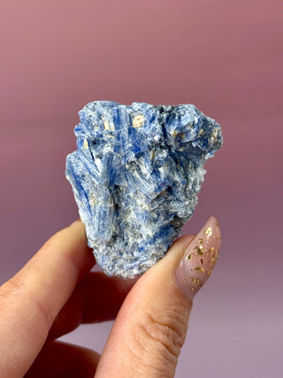 BLUE KYANITE (1) Raw Crystal The Crystal Avenues 
