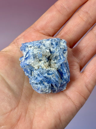 BLUE KYANITE (2) Raw Crystal The Crystal Avenues 