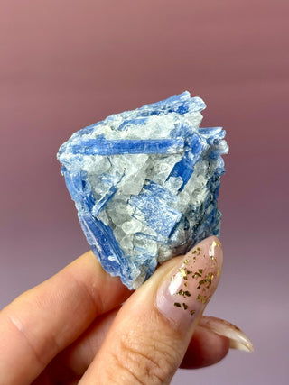 BLUE KYANITE (2) Raw Crystal The Crystal Avenues 