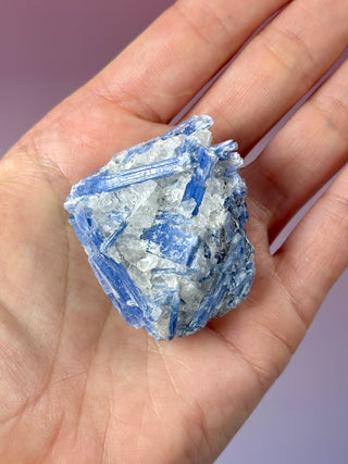 BLUE KYANITE (2) Raw Crystal The Crystal Avenues 