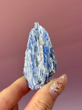 BLUE KYANITE (3) Raw Crystal The Crystal Avenues 