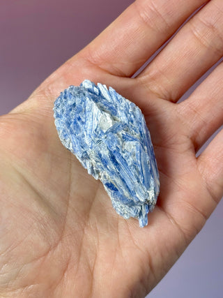 BLUE KYANITE (3) Raw Crystal The Crystal Avenues 