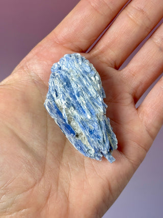 BLUE KYANITE (3) Raw Crystal The Crystal Avenues 