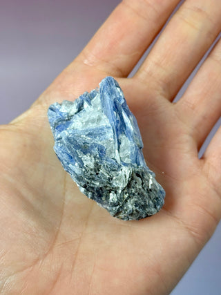 BLUE KYANITE (4) Raw Crystal The Crystal Avenues 