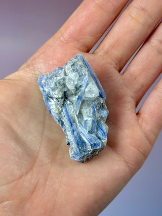 BLUE KYANITE (4) Raw Crystal The Crystal Avenues 