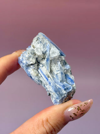 BLUE KYANITE (4) Raw Crystal The Crystal Avenues 