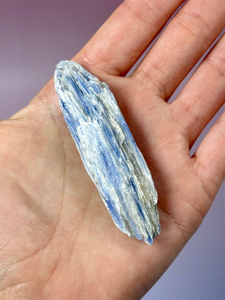 BLUE KYANITE (5) Raw Crystal The Crystal Avenues 