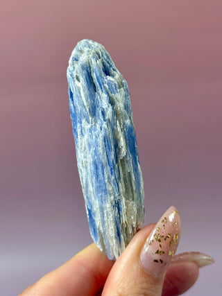 BLUE KYANITE (5) Raw Crystal The Crystal Avenues 