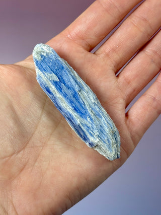 BLUE KYANITE (5) Raw Crystal The Crystal Avenues 