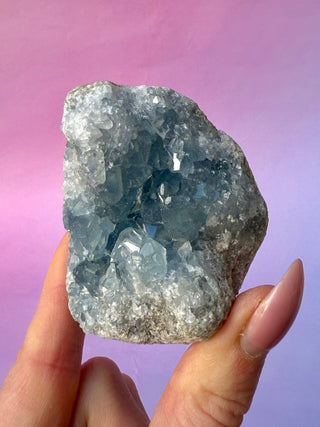 CELESTITE CLUSTER (11) Cluster The Crystal Avenues 