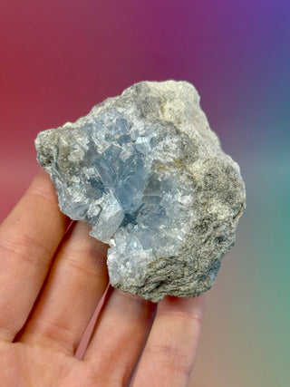 CELESTITE CLUSTER (12) Cluster The Crystal Avenues 