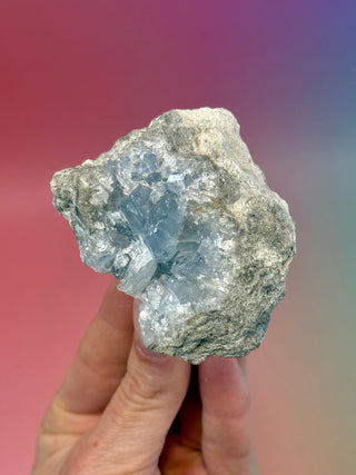 CELESTITE CLUSTER (12) Cluster The Crystal Avenues 