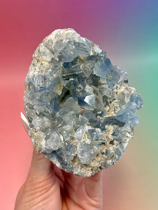 CELESTITE CLUSTER (3) Cluster The Crystal Avenues 
