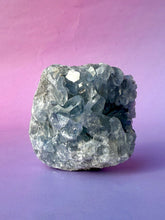 Load image into Gallery viewer, CELESTITE CLUSTER (6) Cluster The Crystal Avenues 
